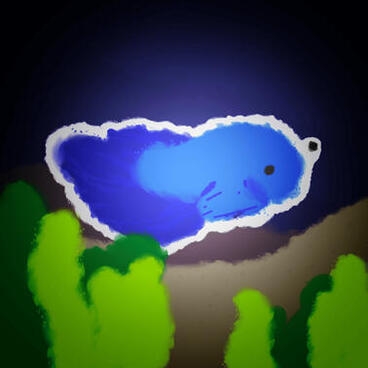 Way of The Lonely Fish